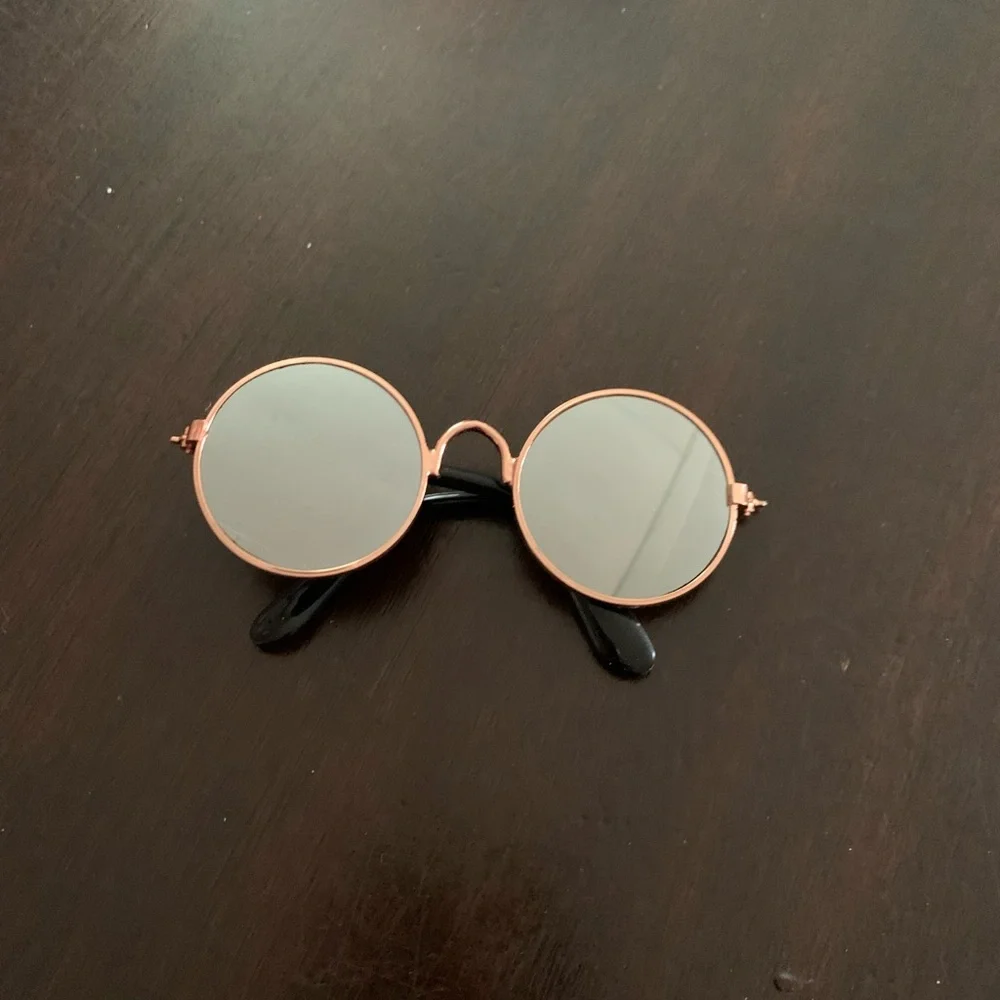 Animal sunglasses